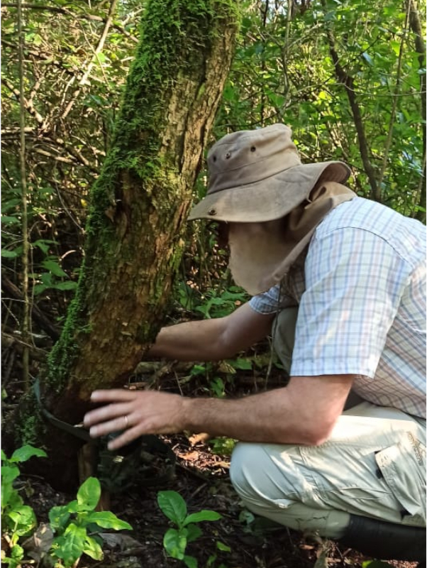The valuable natural treasure protected by El Morado.